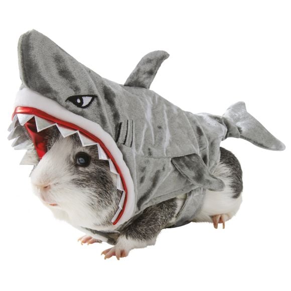 Thrills & Chills Small Pet Costume — Shark