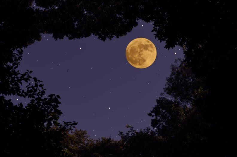 Strawberry Moon