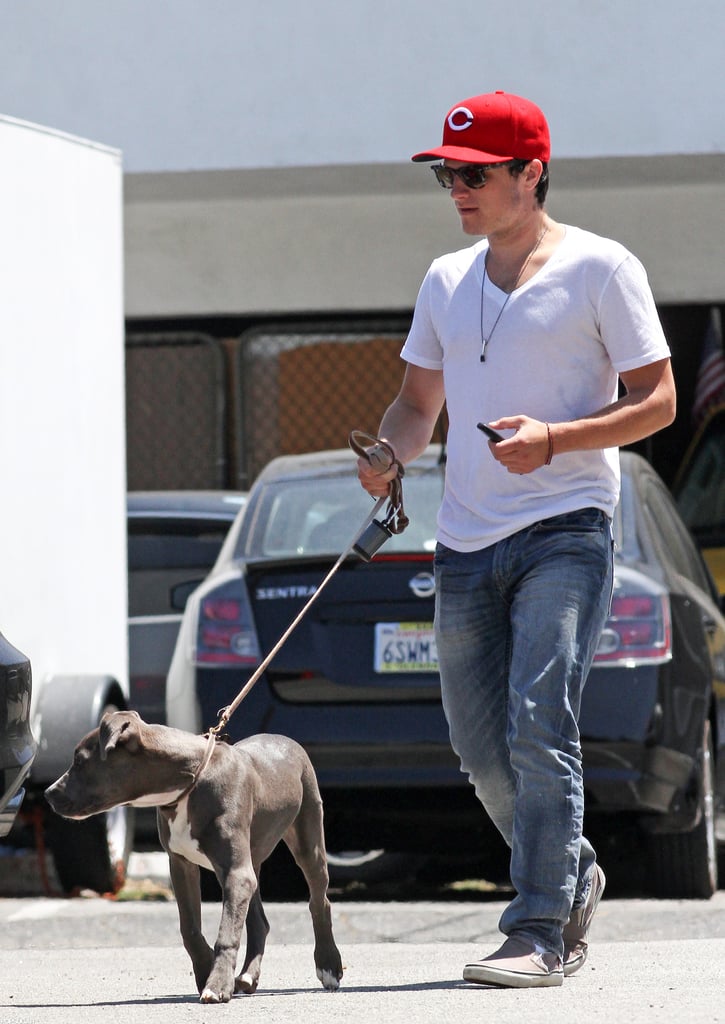 Josh Hutcherson adopted his Pit Bull, Driver, in early 2012 and took him for an LA walk that July.