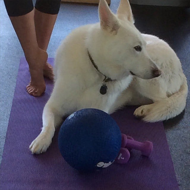 "A little barre work with my beauty," Jen wrote alongside a heart emoji.