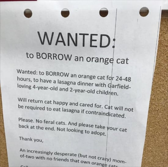 Mom's Flyer Asking to Borrow an Orange Cat to Be Garfield