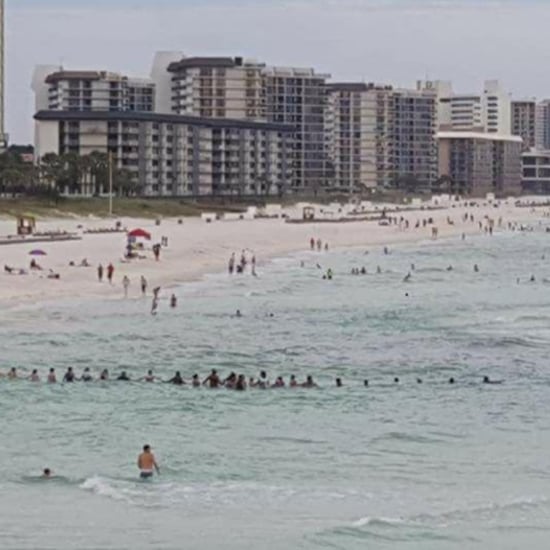 Human Chain Saves Family From Drowning in Ocean