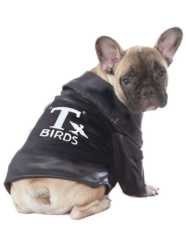 Grease T-Birds Jacket Dog Costume
