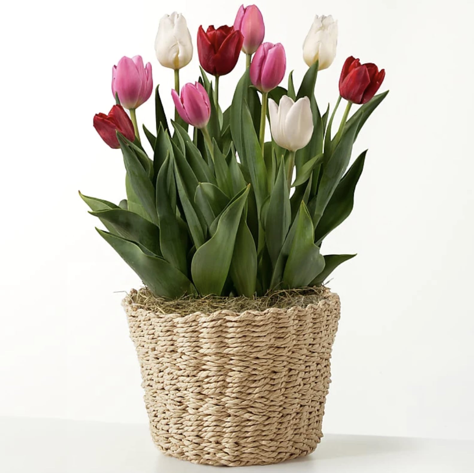 Best Flower Delivery Services For Valentine's Day 2024 | PS Home