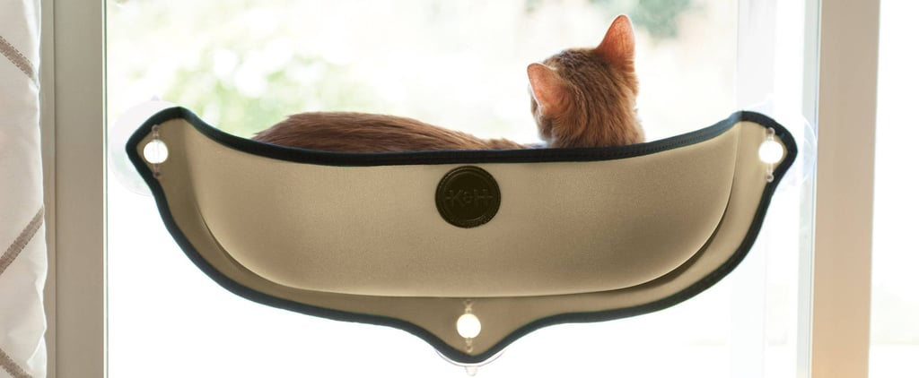 Best Pet Beds at Walmart