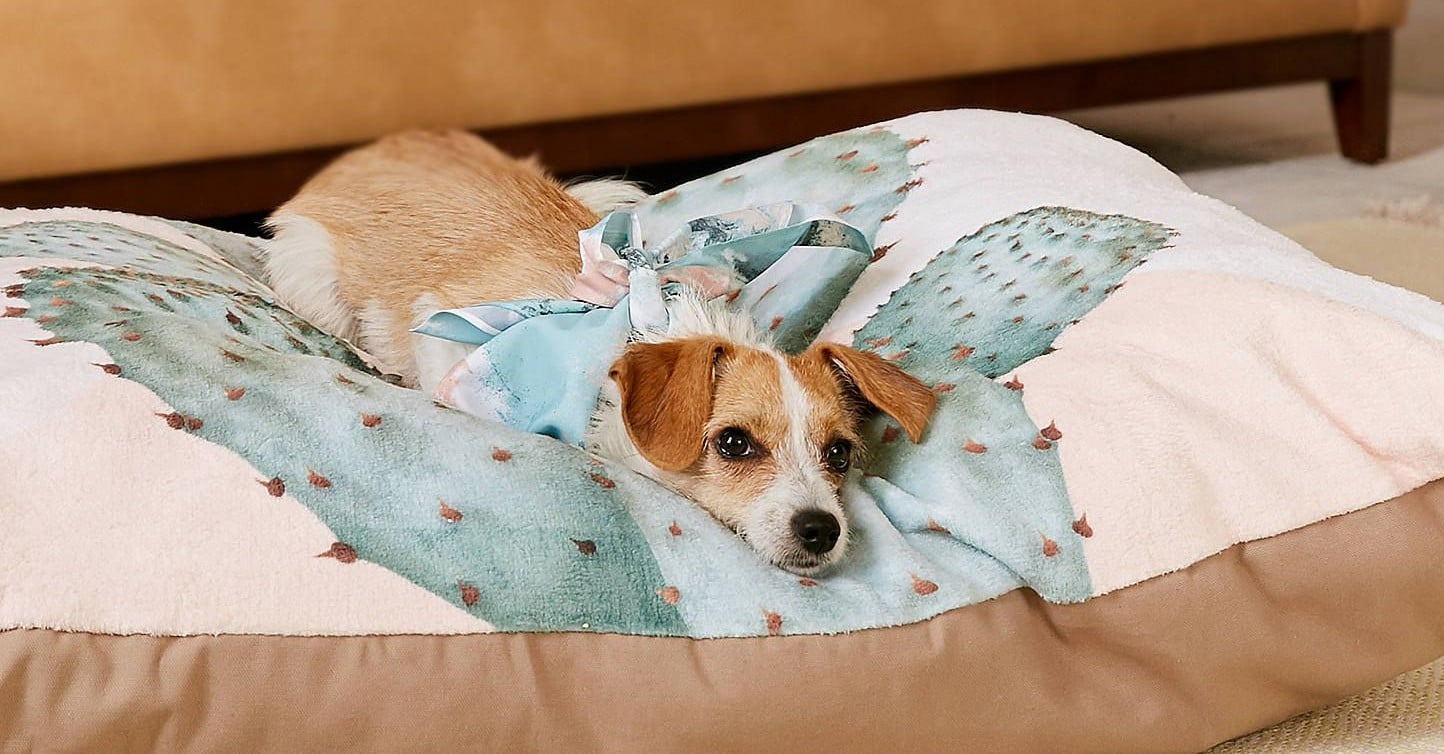 Dog Beds at Urban Outfitters PS Home