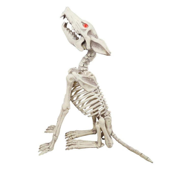 Animated Howling Skeleton Wolf with LED Illuminated Eyes 