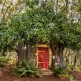 This Winnie the Pooh Tree House Is the Perfect $105 Getaway For Disney Fans