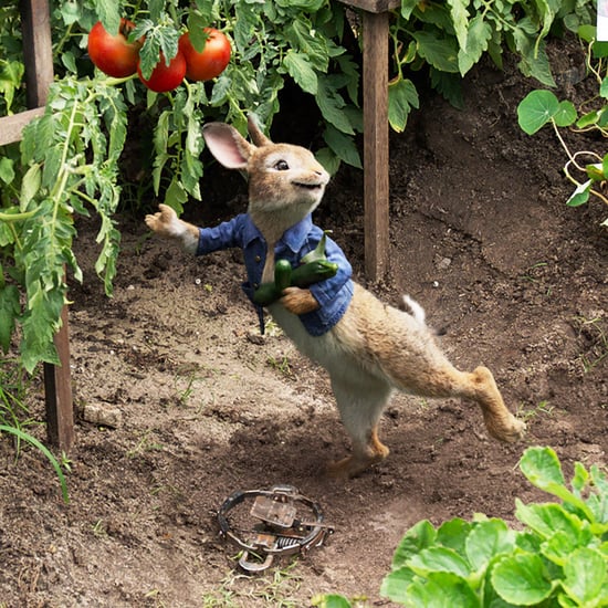 Peter Rabbit Food Allergies Backlash
