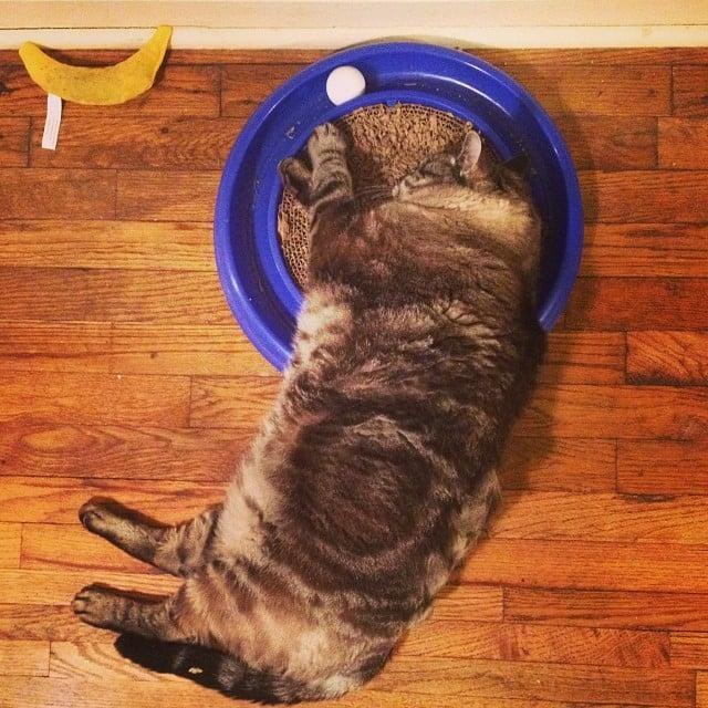 All Played Out