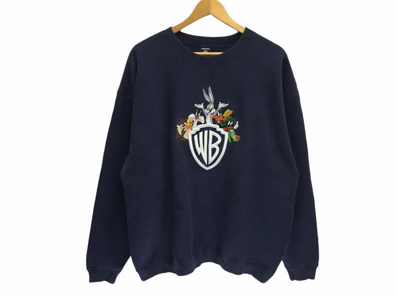 Warner Bros. Cartoons Multicolor Embroidery Pullover