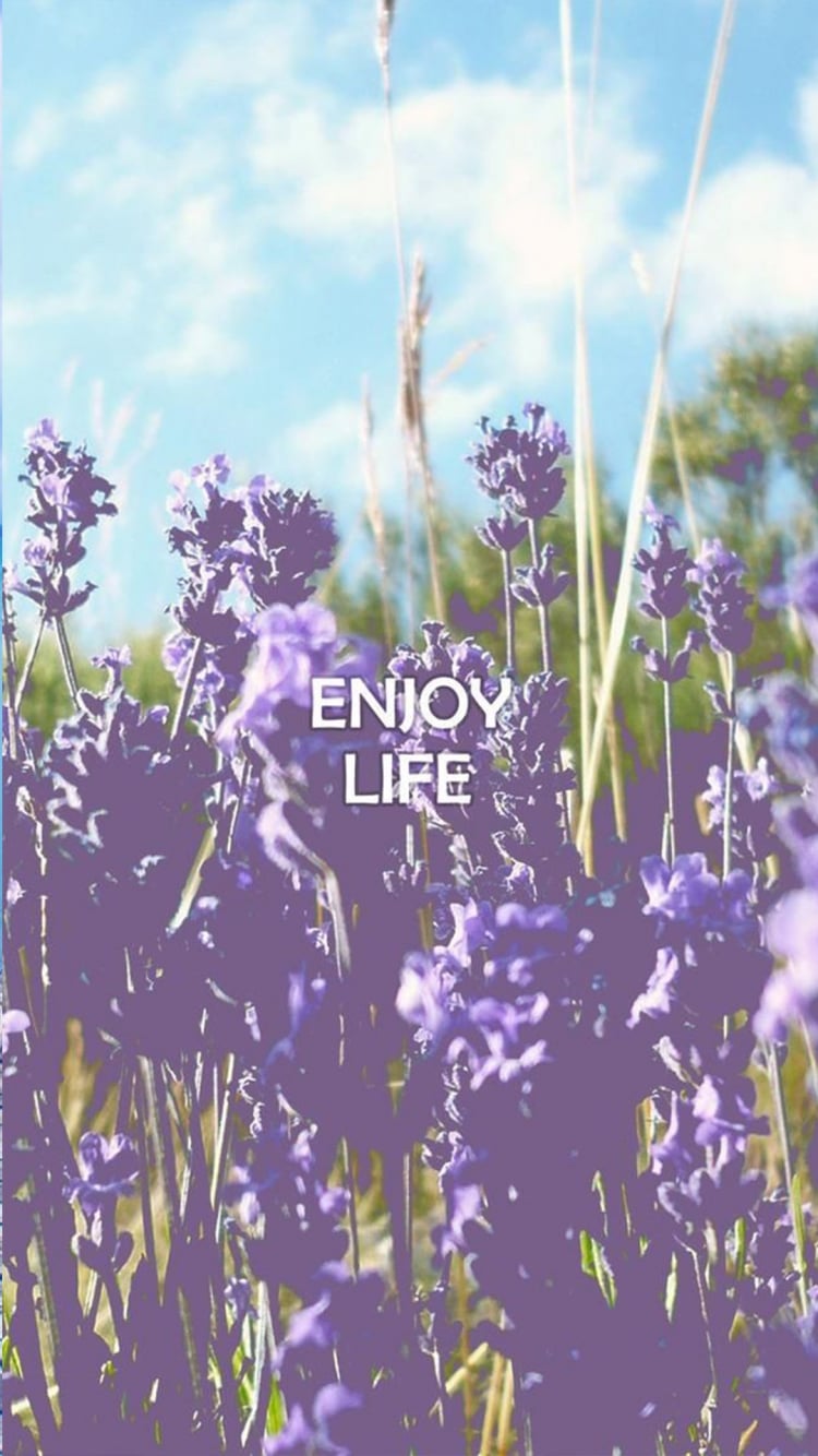 Enjoy life