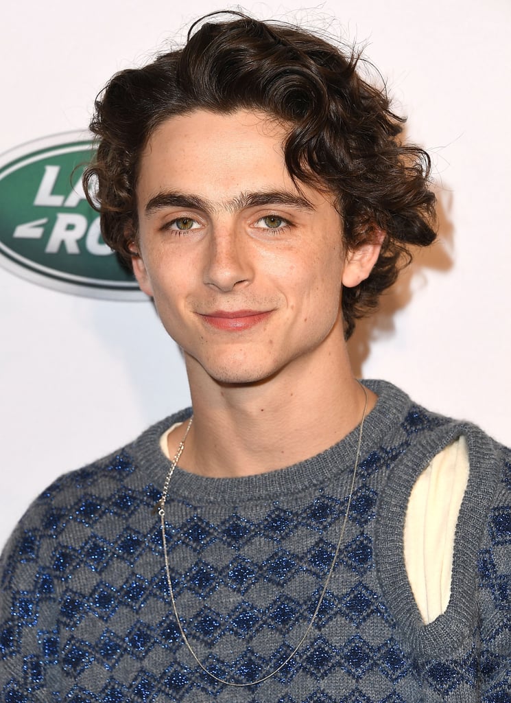 Hot Timothée Chalamet Pictures