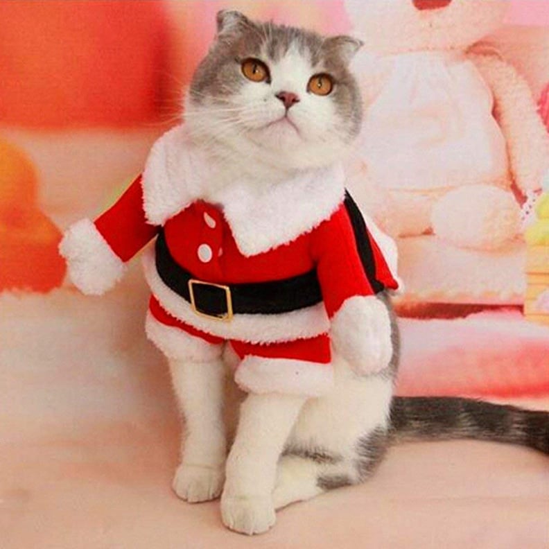Bolbove Santa Claus Suit Costume For Cats
