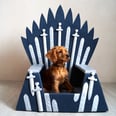 Let's Pray Our Pets Don't Act Like Joffrey Once They Sit on This Iron Throne Bed