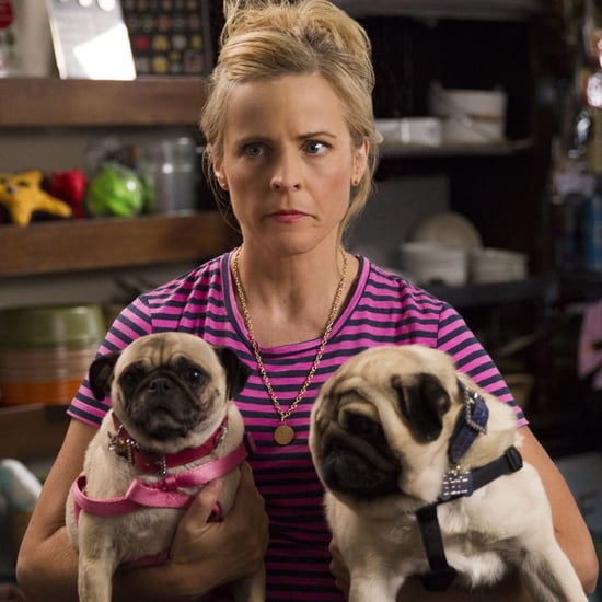 Lady Dynamite Review