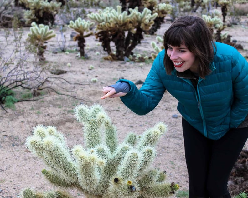 Hunt down all kinds of cacti, even glowing ones.