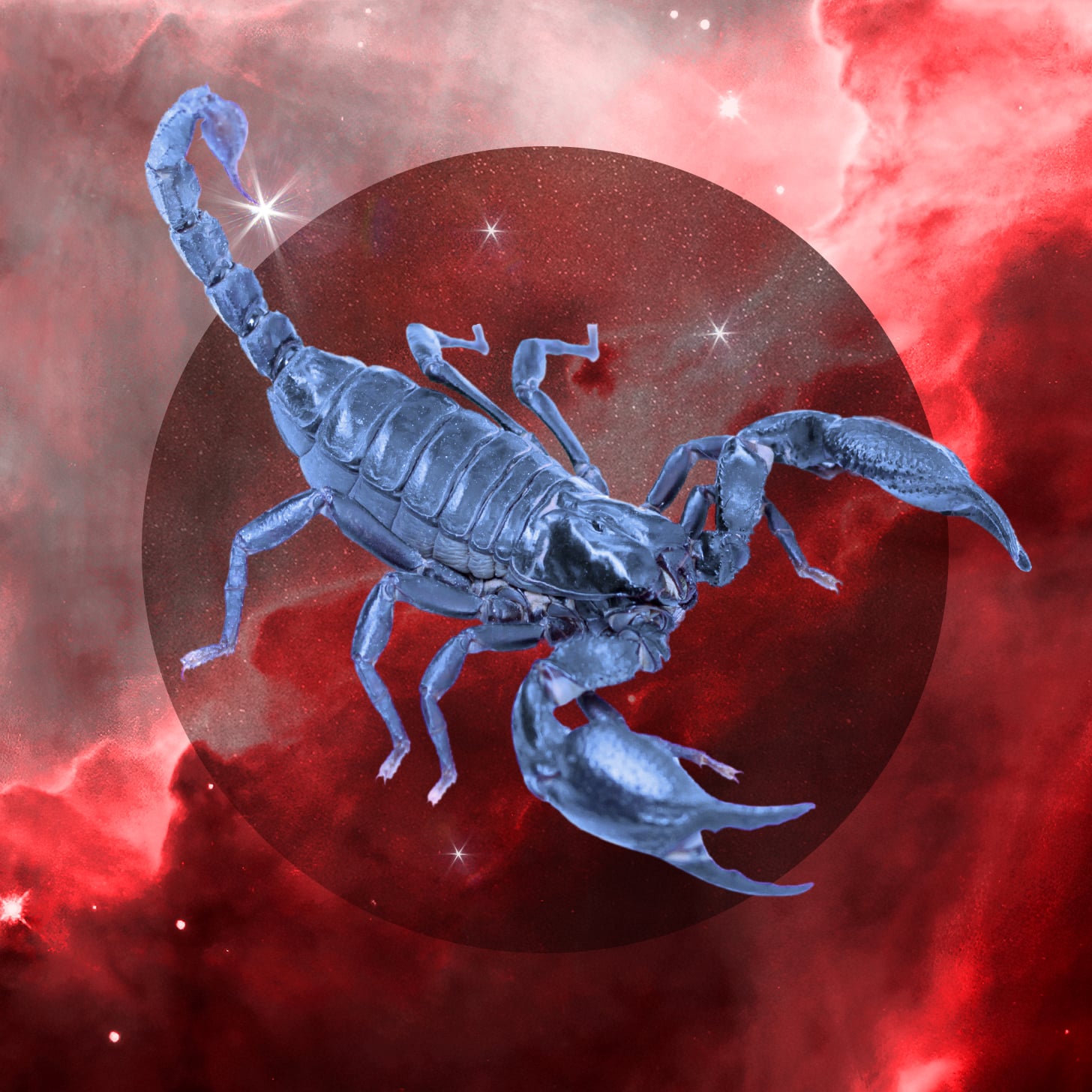 Scorpio Season 2023