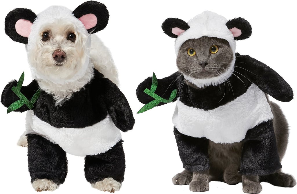 Frisco Front Walking Panda Dog & Cat Costume