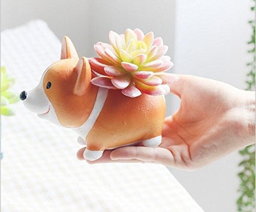 Cuteforyou Cute Animal-Shaped Succulent Vase