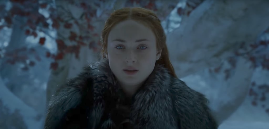 Sansa's Possible Rise to Power