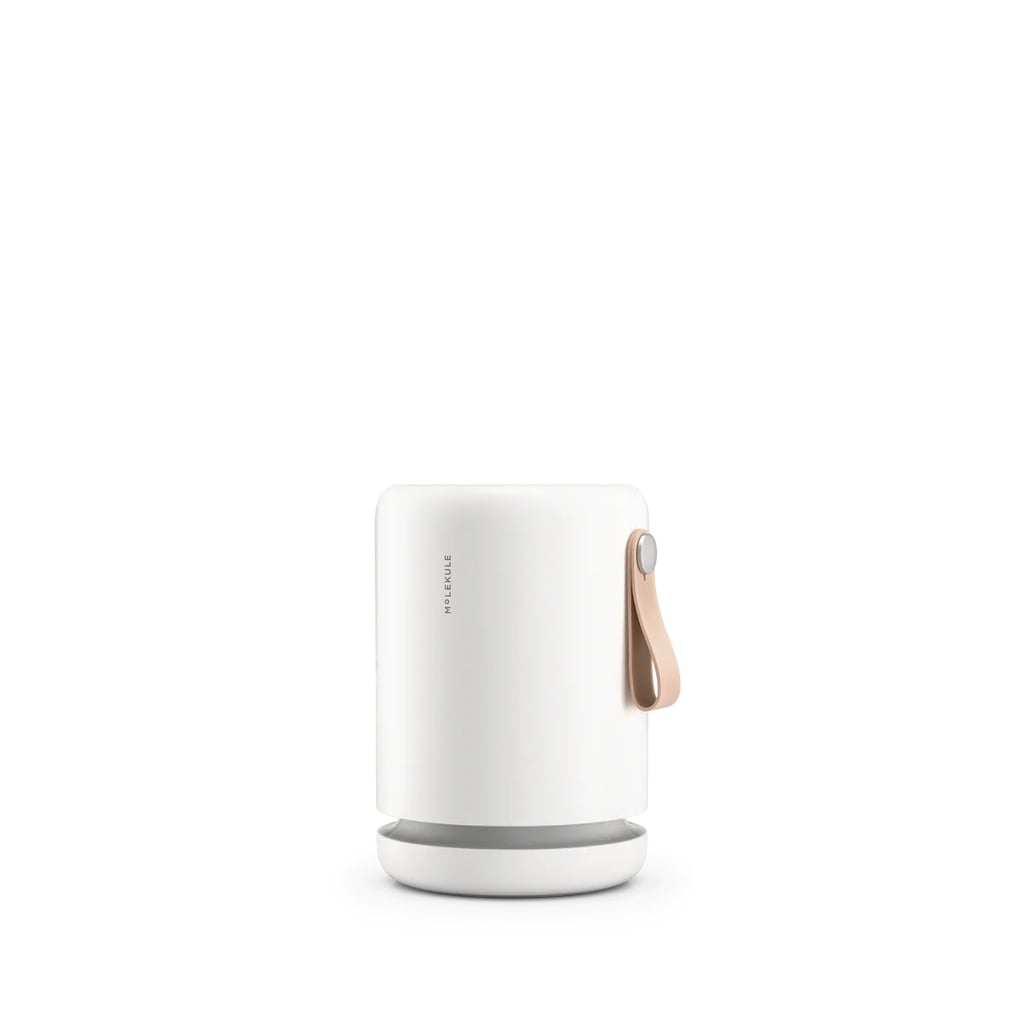 Molekule Air Mini+
