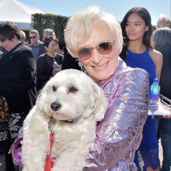 Glenn Close at the 2019 Spirit Awards