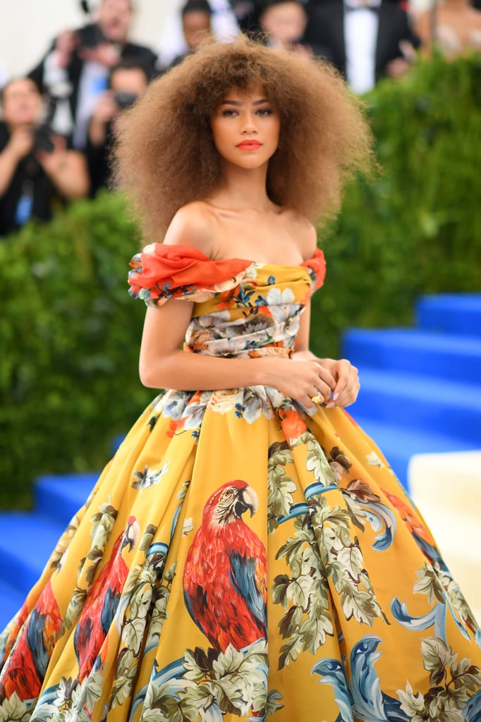 Zendaya's Dolce & Gabbana Dress at the Met Gala 2017 | POPSUGAR Fashion ...