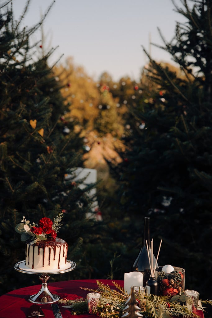 Inspiration For a Rustic Christmas Tree Farm Wedding