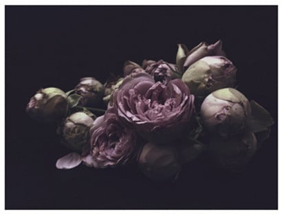 Dark Floral Fine Art Print ($250)