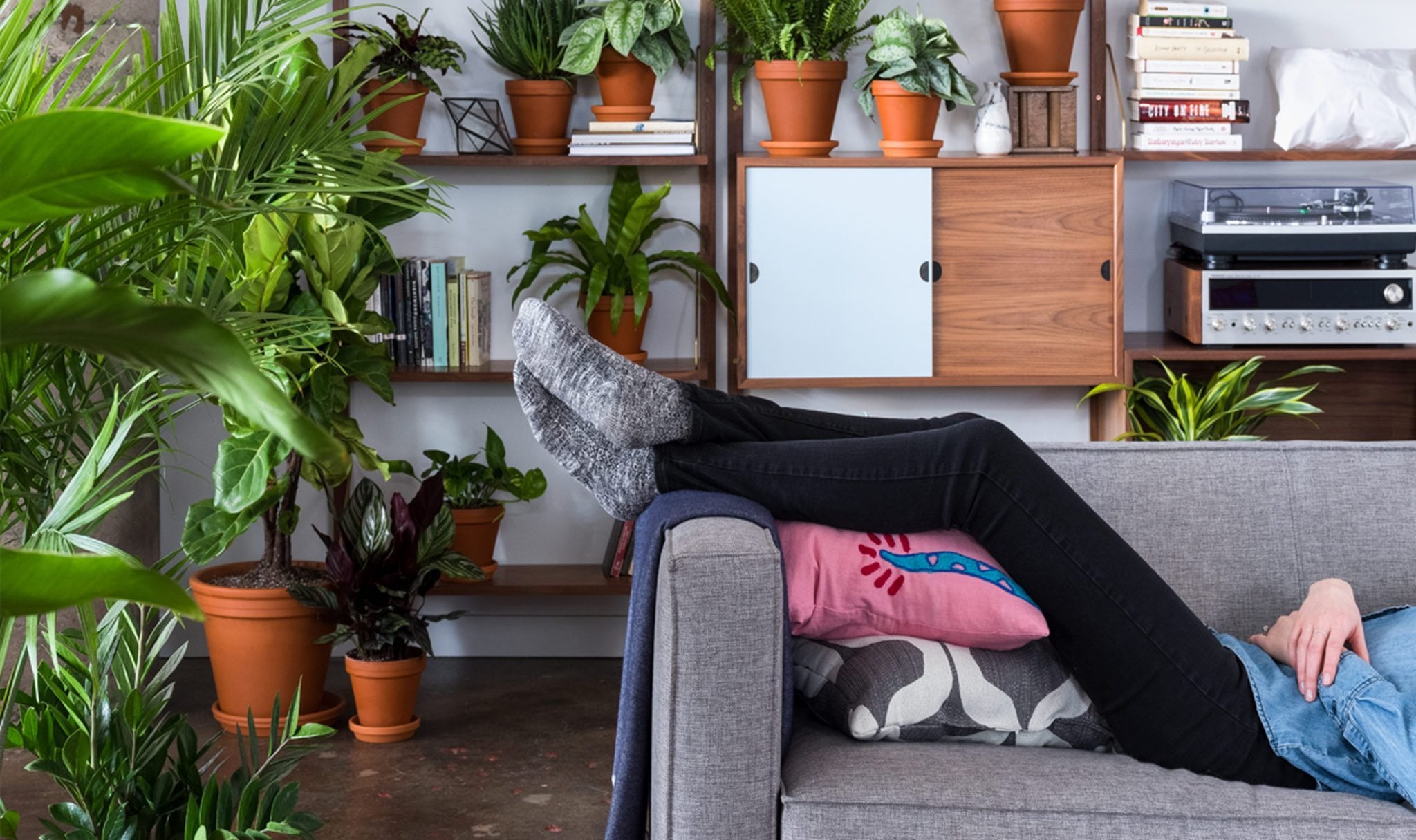 Can I Order Plants Online? POPSUGAR Home