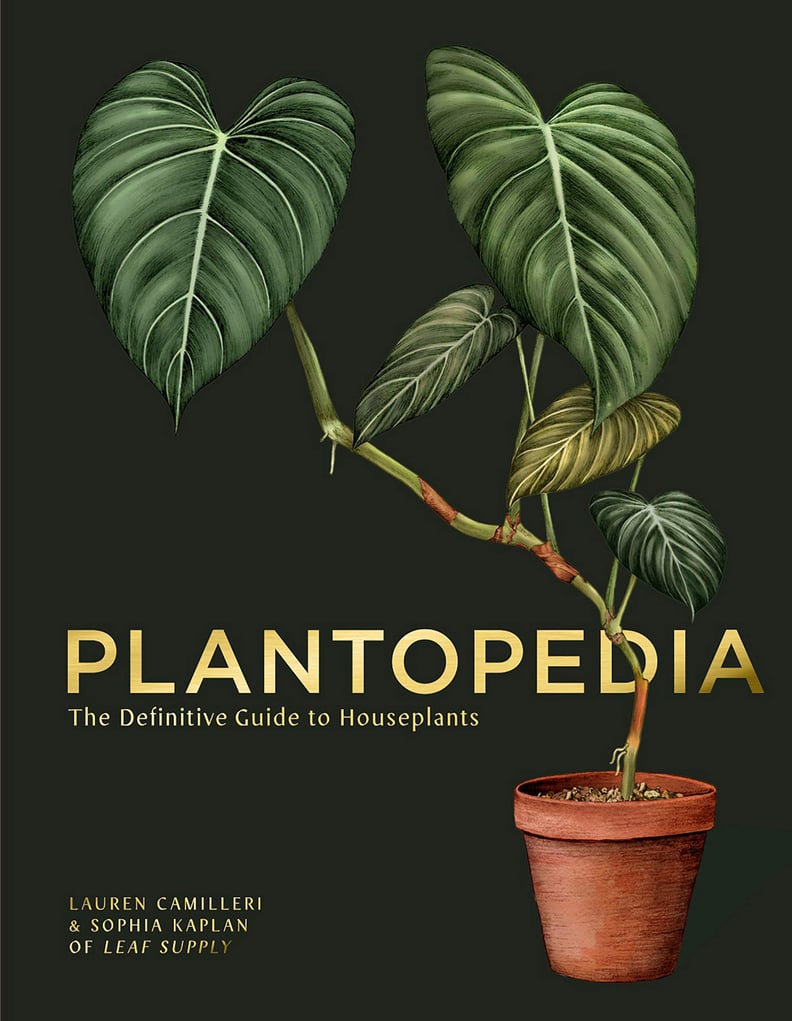 Plant-Care Encyclopedia