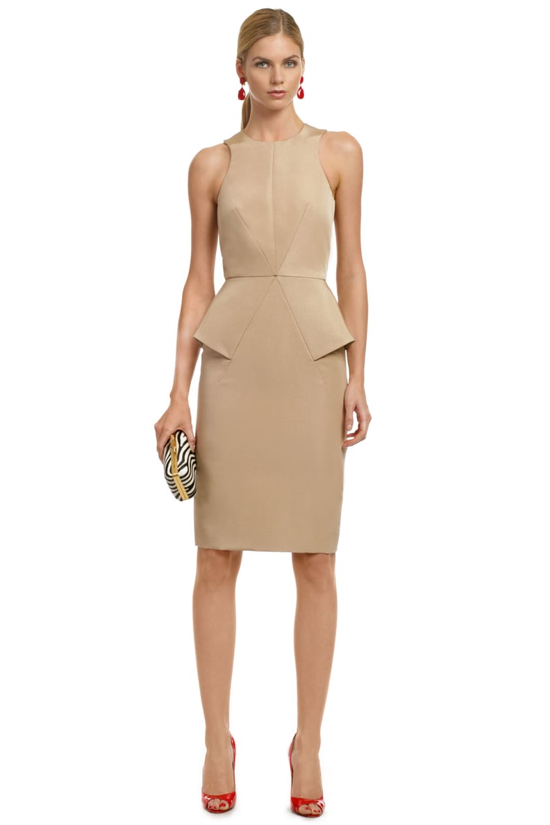 Cushnie et Ochs Nude Dress