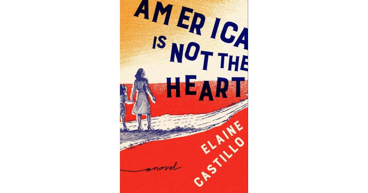 america is not the heart book