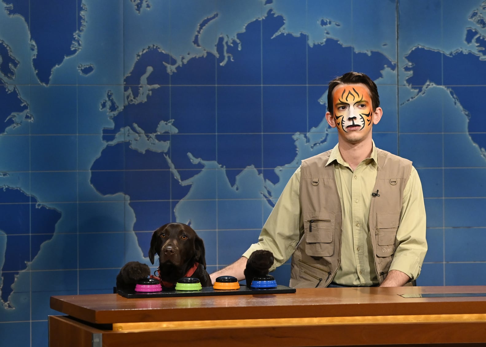 The New and Returning Cast of Saturday Night Live Season 48 | POPSUGAR