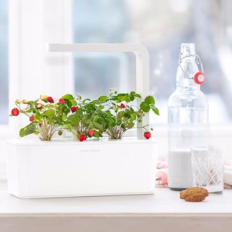 Tech-Savvy Gardening Products