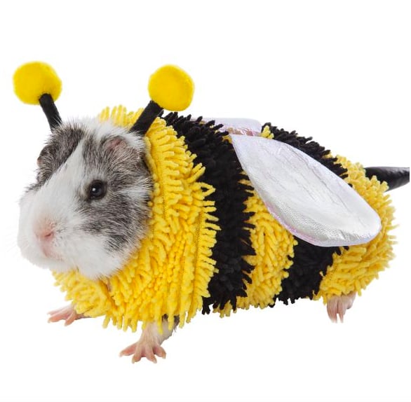 Thrills & Chills Small Pet Costume — Bee