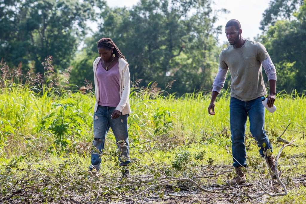 Queen Sugar