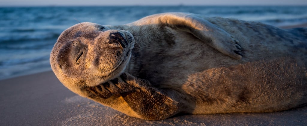 2017 National Geographic Nature Photography Contest Pictures