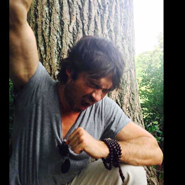 Ian Somerhalder celebrated his Emmy nominations for Showtime's Years of Living Dangerously.
Source: Instagram user iansomerhalder