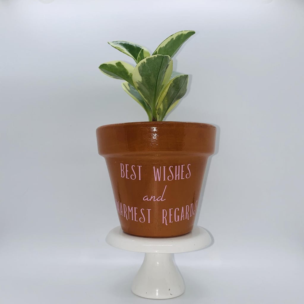 Schitt's Creek Inspired Planter