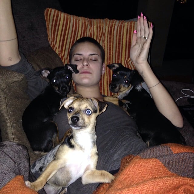 Tallulah Willis, the daughter of Demi Moore and Bruce Willis, chilled with her dogs.
Source: Instagram user buuski