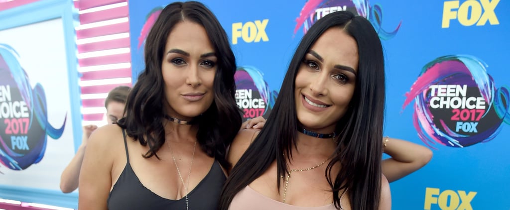 Best Nikki and Brie Bella Pictures 2017