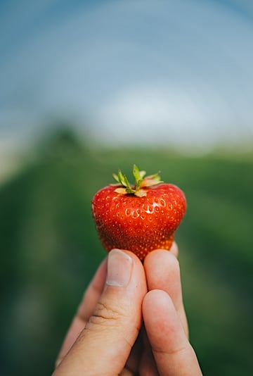 What Is the Strawberry Question Prank on TikTok?