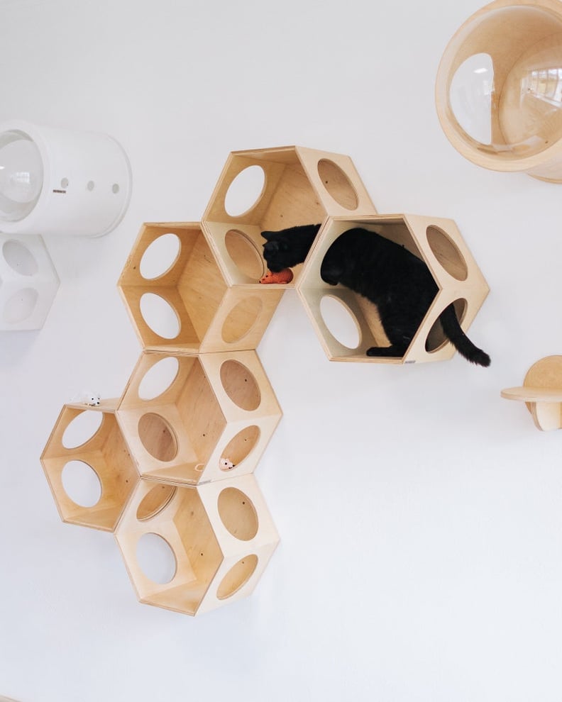 Hexagon Cat House