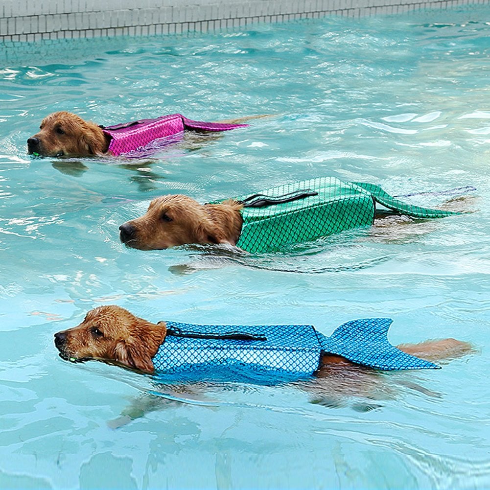 This Trio of Pups Make a Strong Case For Investing in a Mermaid Life Jacket