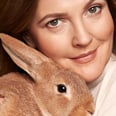 How Drew Barrymore Rebels Against Animal Testing