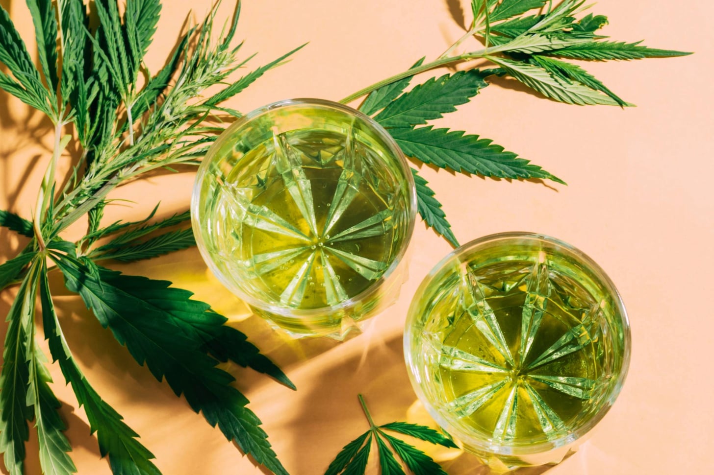 Green THC beverage in clear glasses on pink backdrop surrounded by hemp leaves.