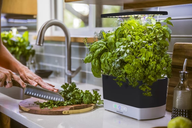 For the Plant Family: AeroGarden Harvest