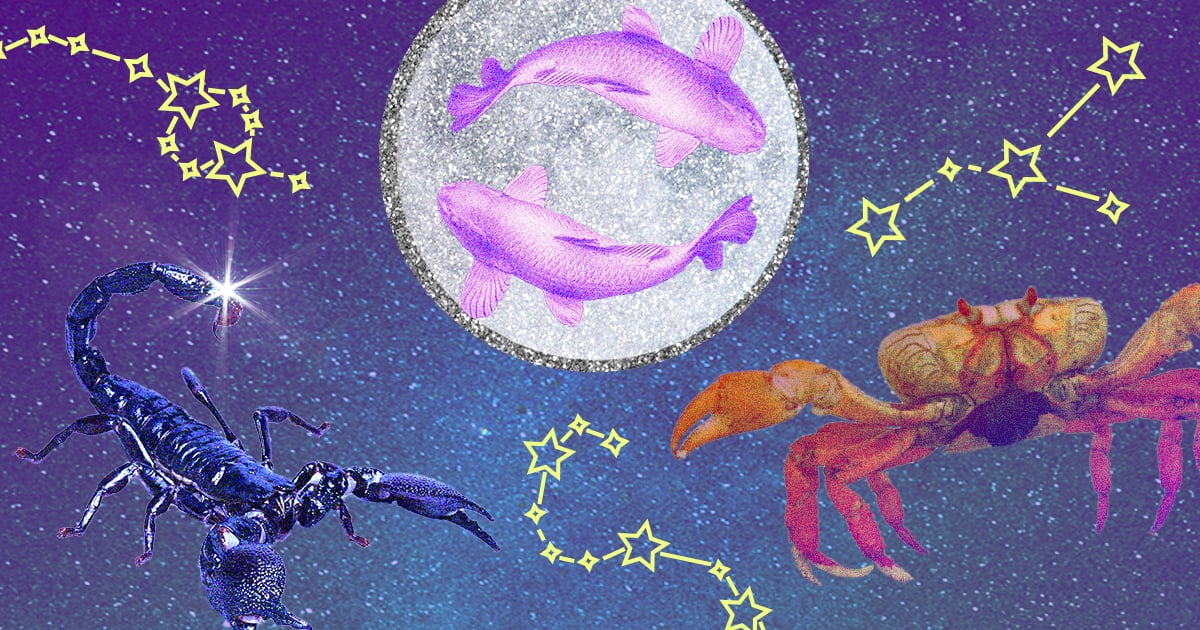 Your March 12 Weekly Horoscope Says Now Is the Time to Make Your Dreams a Reality